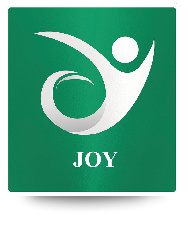 joy icon