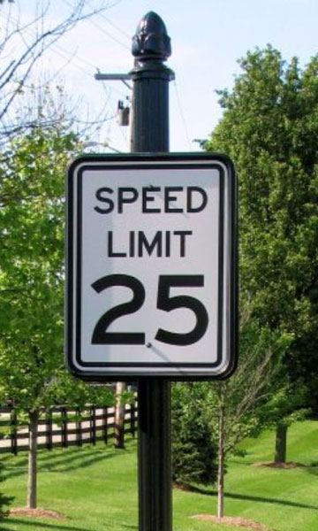 decorative speed limit sign